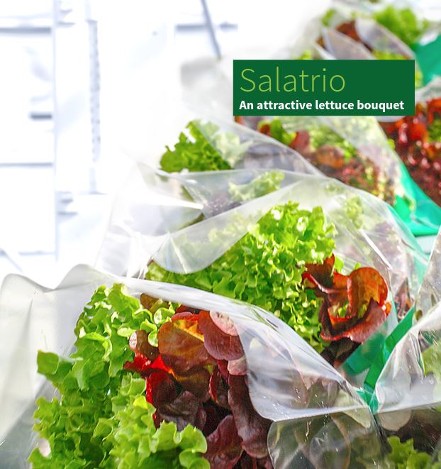  Salatrio - A Unique Concept