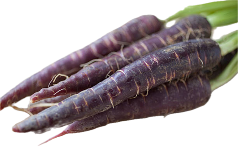 Purple Carrots 5kg