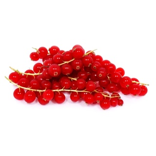 Red Currants Berries