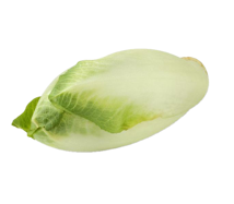 Chicory 1kg