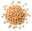 Canned - Chick Peas 2.6kg